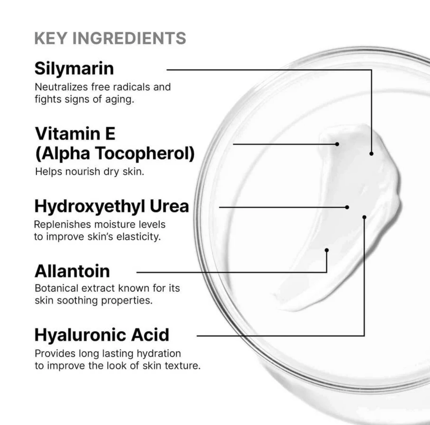 SkinCeuticals Antioxidant Lip Repair